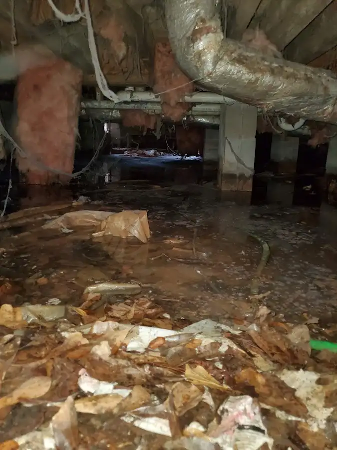 Crawl space flood assessment for Leak Detection & Repair in Newton
